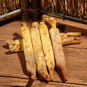 Raw ginseng roots display
