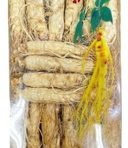 Packaged dried ginseng roots 500g